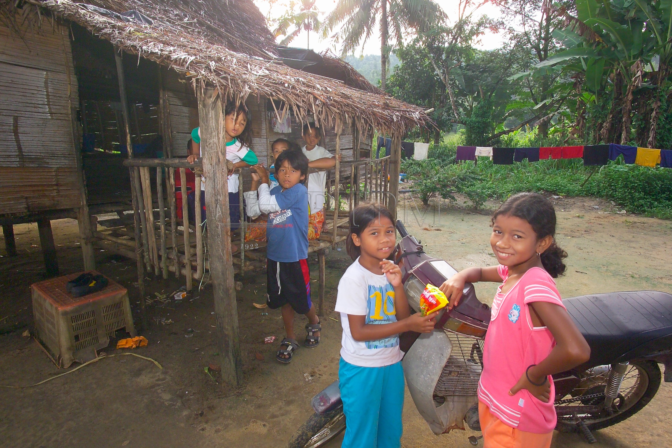 PTPM 06 31 kilau D9X44154